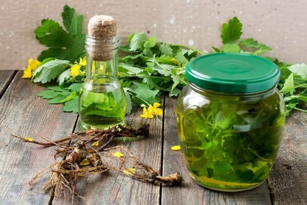 Tintura de herba de celidonia para fungos nos dedos dos pés